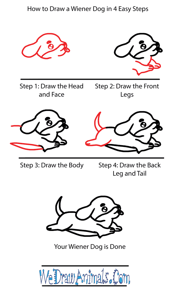 How to Draw a Cute Wiener Dog - Step-by-Step Tutorial