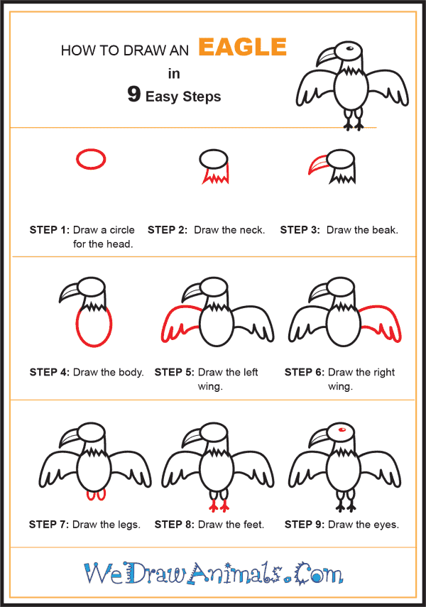 How to Draw an Eagle for Kids - Step-by-Step Tutorial