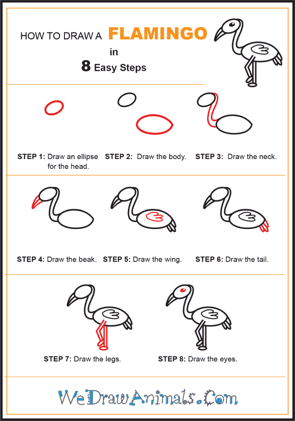 How to Draw a Simple Flamingo for Kids