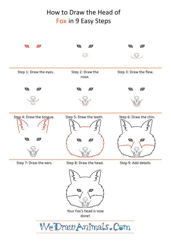 How to Draw a Fox Face - Step-by-Step Tutorial