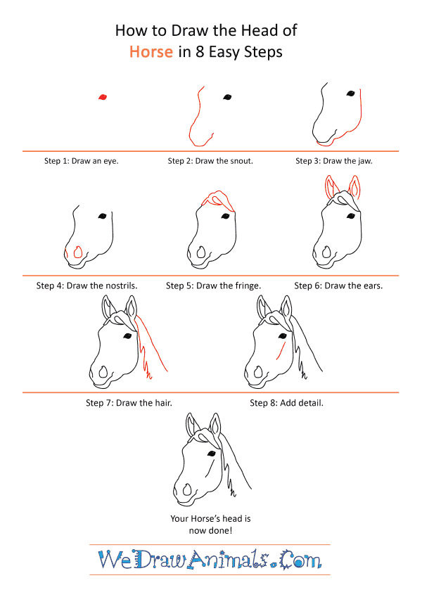 how to draw a horse head step by step for kids
