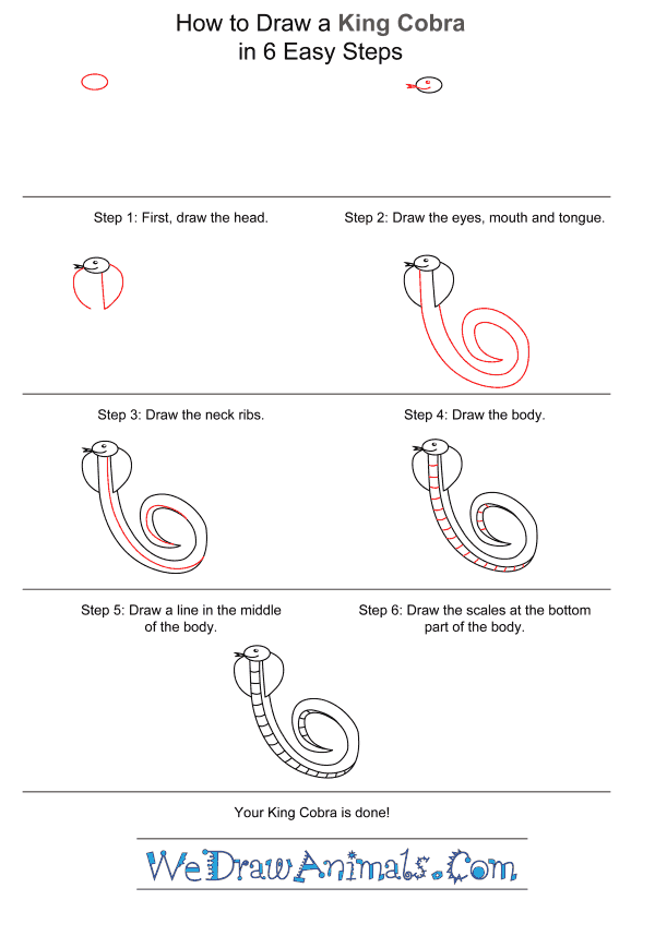 How to Draw a King Cobra for Kids - Step-by-Step Tutorial
