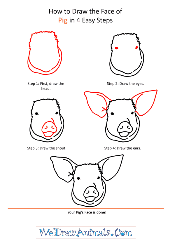 How to Draw a Pig Face - Step-by-Step Tutorial