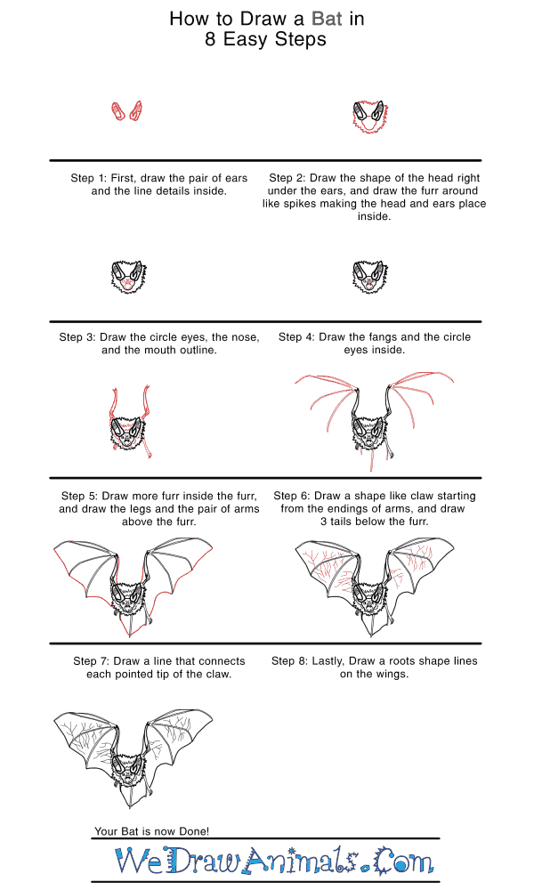 How to Draw a Realistic Bat - Step-by-Step Tutorial