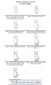 How to Draw a Realistic Cat