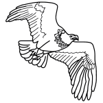 How To Draw An Eagle