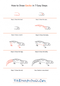 How to Draw a Realistic Gecko