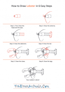 How to Draw a Realistic Lobster