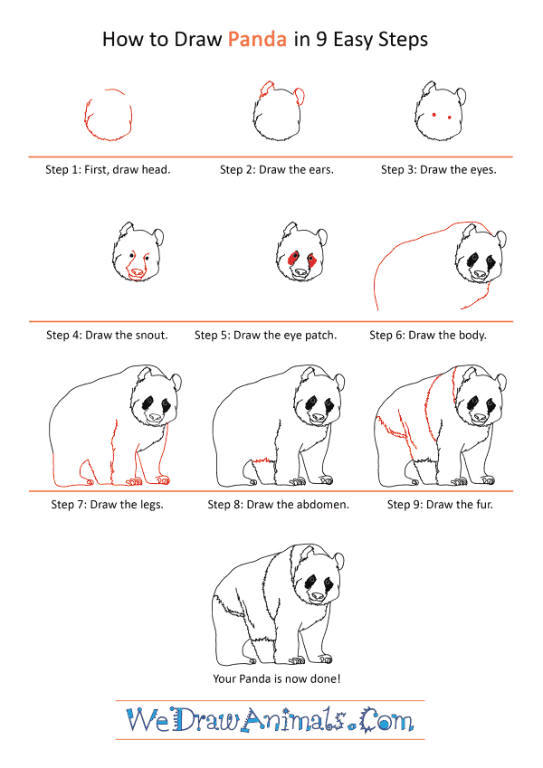 How to Draw a Realistic Panda