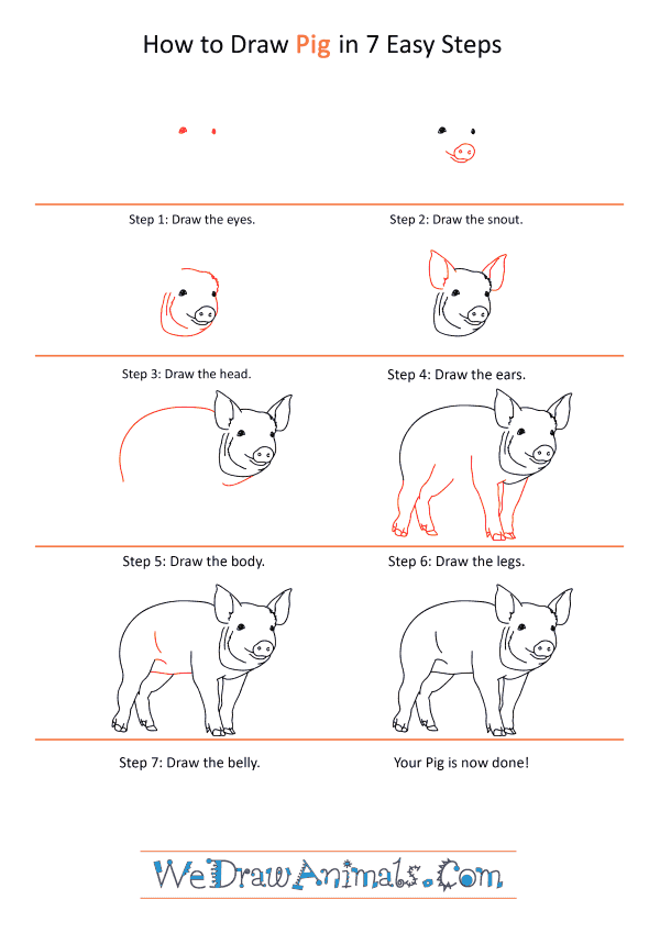 How to Draw a Realistic Pig - Step-by-Step Tutorial