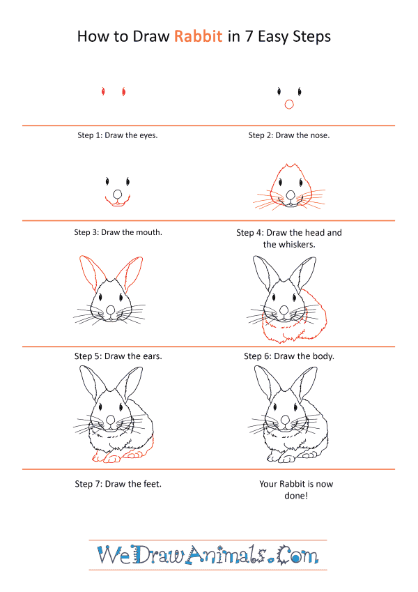 How to Draw a Realistic Rabbit - Step-by-Step Tutorial