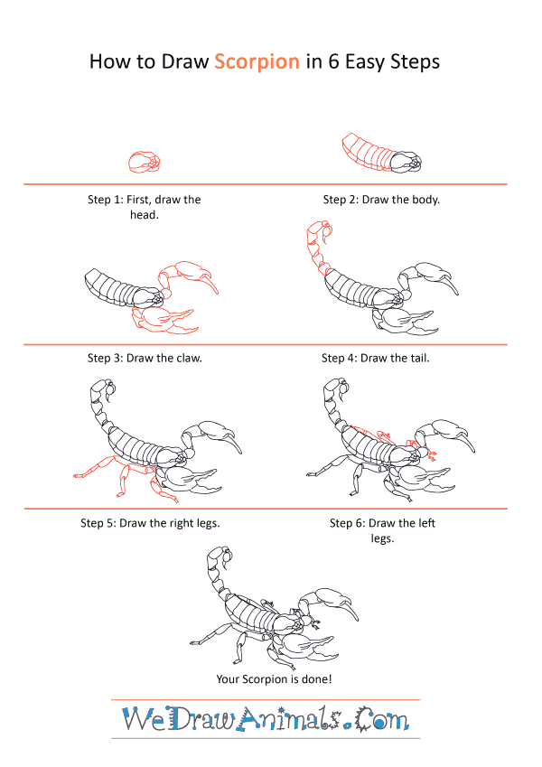 How to Draw a Realistic Scorpion - Step-by-Step Tutorial