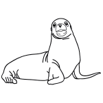 How to Draw a Sea Lion