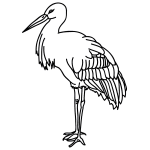 How to Draw a Stork