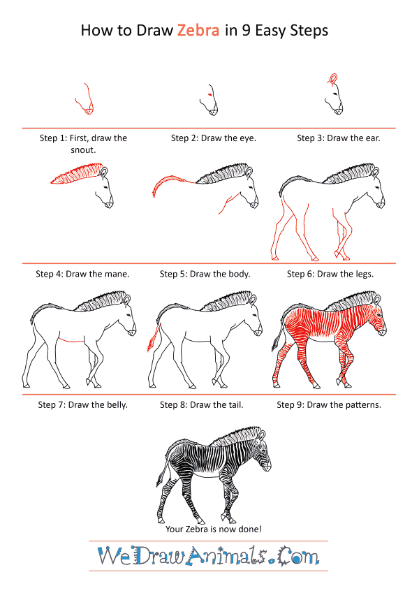 How to Draw a Realistic Zebra - Step-by-Step Tutorial