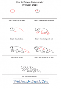 How to Draw a Simple Salamander for Kids