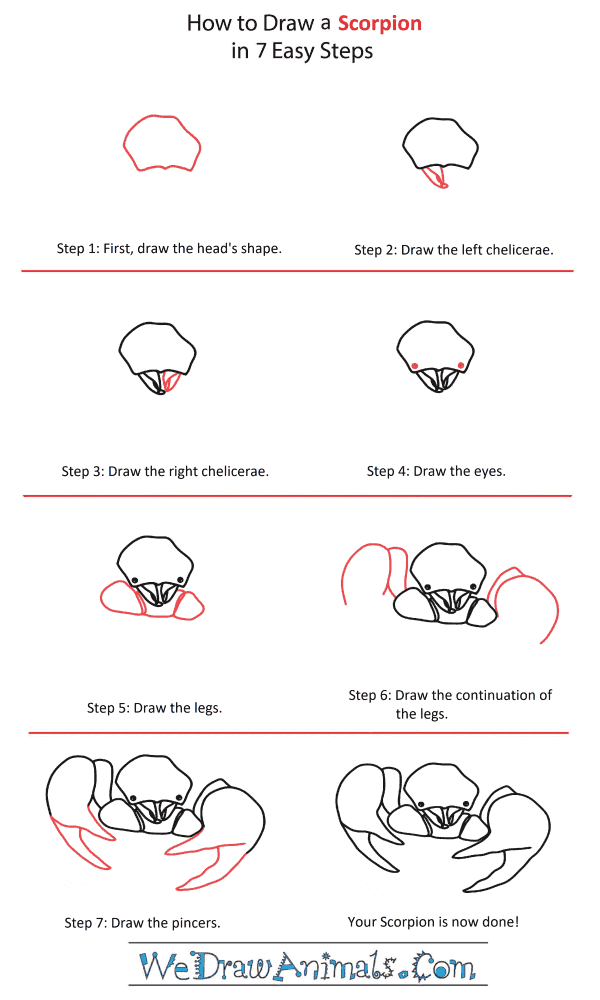 How to Draw a Scorpion Head - Step-by-Step Tutorial