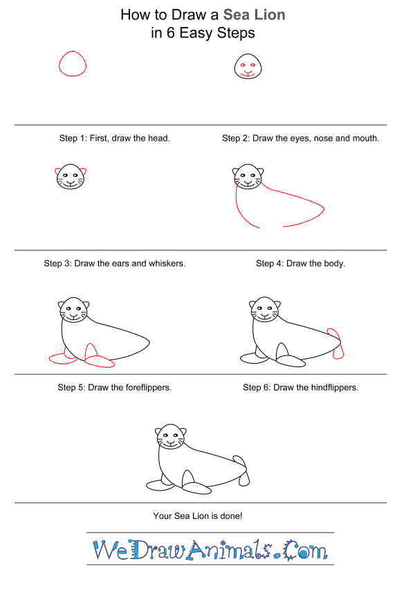 How to Draw a Sea Lion for Kids - Step-by-Step Tutorial