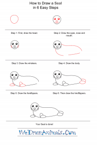 How to Draw a Simple Seal for Kids