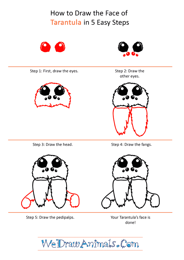How to Draw a Tarantula Face - Step-by-Step Tutorial