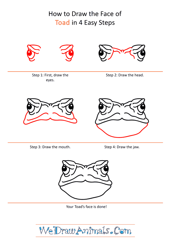 How to Draw a Toad Face - Step-by-Step Tutorial