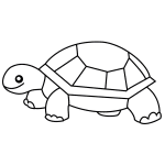 How to Draw a Baby Turtle