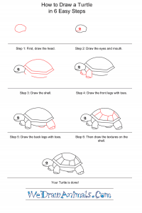 How to Draw a Simple Turtle for Kids
