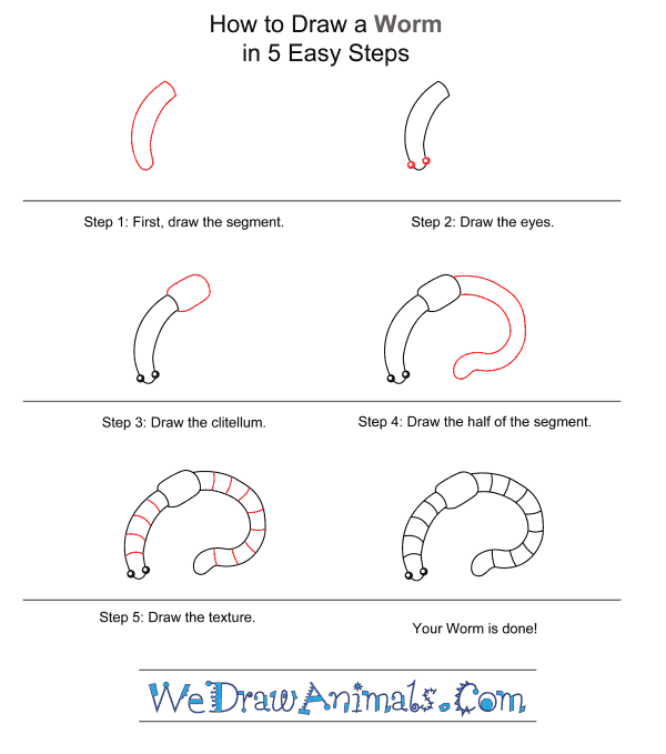 How to Draw a Worm for Kids - Step-by-Step Tutorial