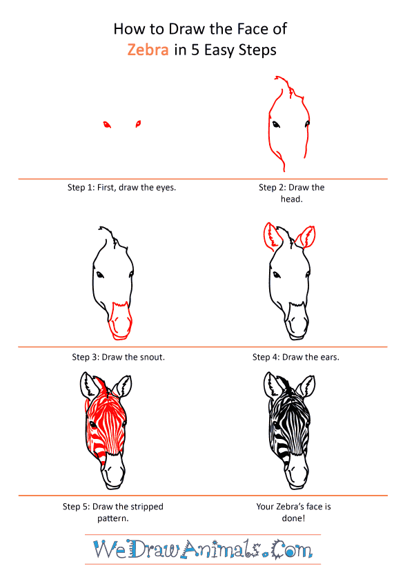 How to Draw a Zebra Face - Step-by-Step Tutorial
